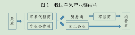 我国苹果产业链结构.png