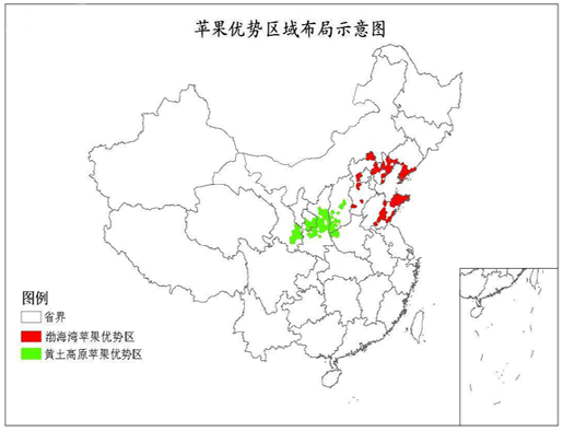 中国苹果优势区域布局.png