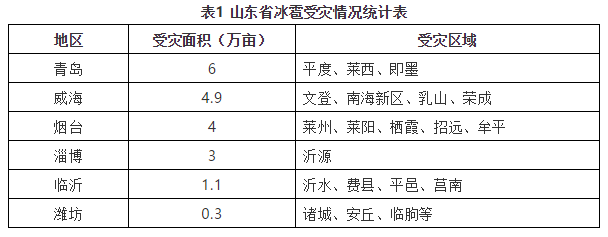 山东省苹果冰雹受灾情况统计表.png